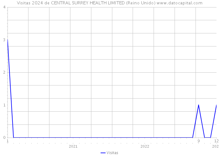 Visitas 2024 de CENTRAL SURREY HEALTH LIMITED (Reino Unido) 