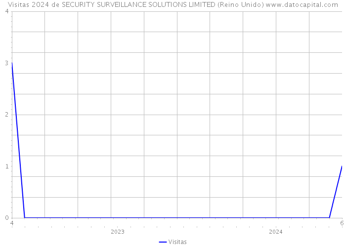 Visitas 2024 de SECURITY SURVEILLANCE SOLUTIONS LIMITED (Reino Unido) 