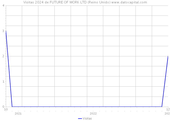 Visitas 2024 de FUTURE OF WORK LTD (Reino Unido) 