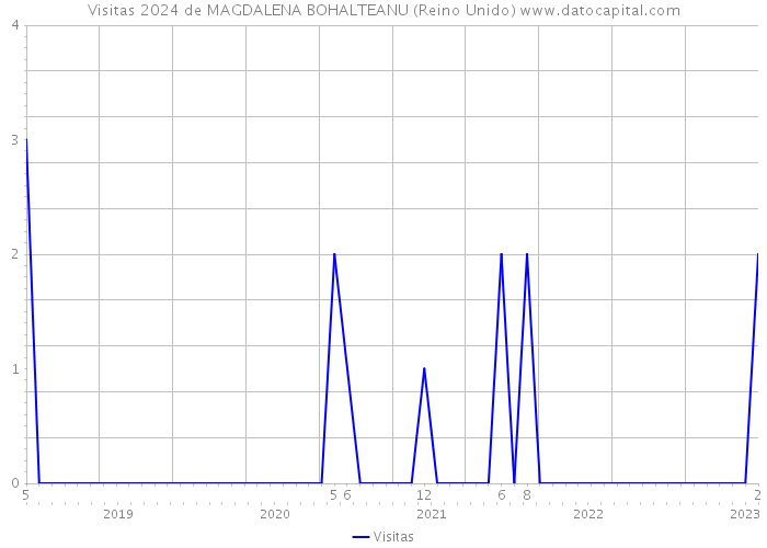 Visitas 2024 de MAGDALENA BOHALTEANU (Reino Unido) 