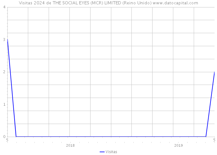 Visitas 2024 de THE SOCIAL EYES (MCR) LIMITED (Reino Unido) 