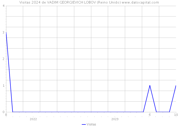 Visitas 2024 de VADIM GEORGIEVICH LOBOV (Reino Unido) 