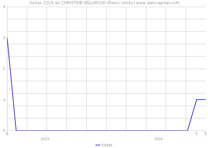 Visitas 2024 de CHRISTINE SELLWOOD (Reino Unido) 