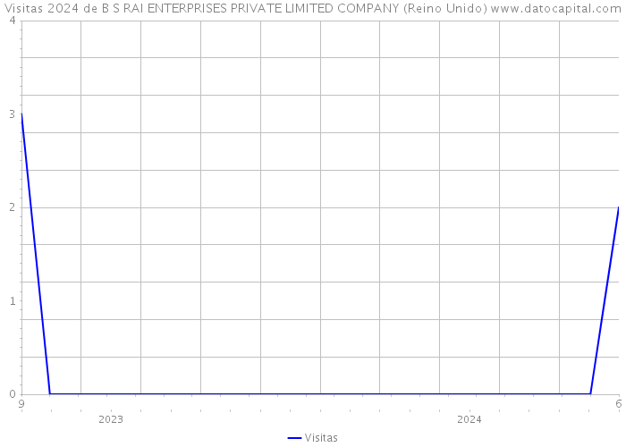 Visitas 2024 de B S RAI ENTERPRISES PRIVATE LIMITED COMPANY (Reino Unido) 