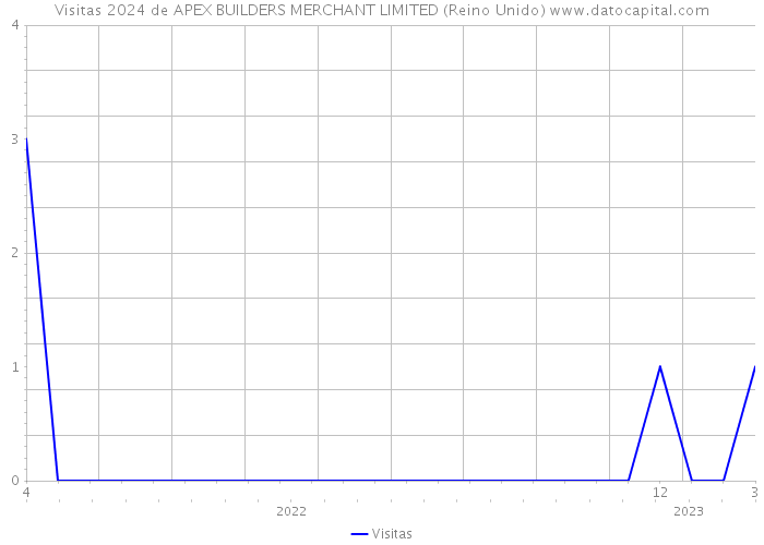 Visitas 2024 de APEX BUILDERS MERCHANT LIMITED (Reino Unido) 