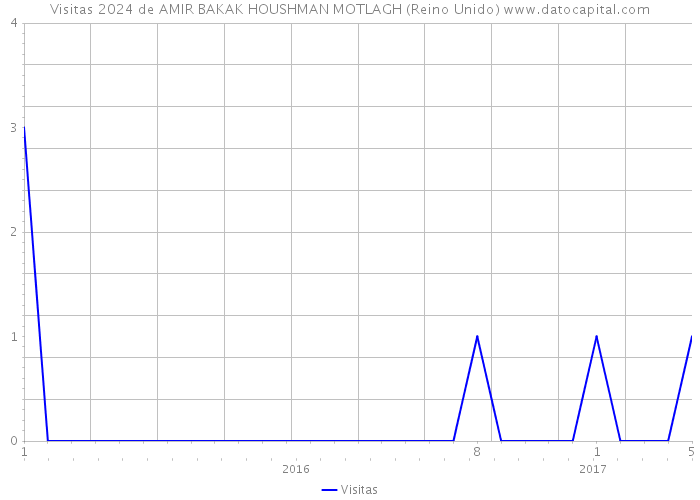 Visitas 2024 de AMIR BAKAK HOUSHMAN MOTLAGH (Reino Unido) 