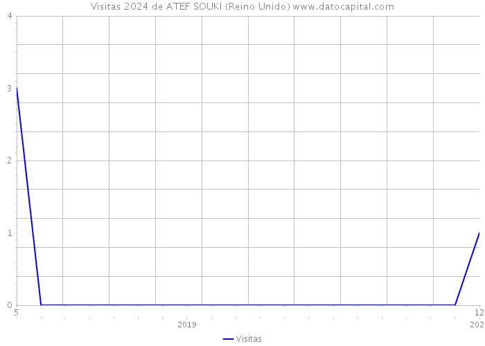 Visitas 2024 de ATEF SOUKI (Reino Unido) 