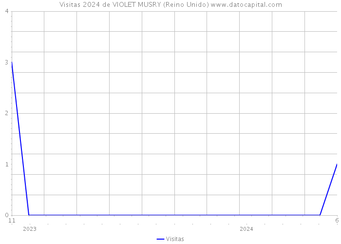 Visitas 2024 de VIOLET MUSRY (Reino Unido) 