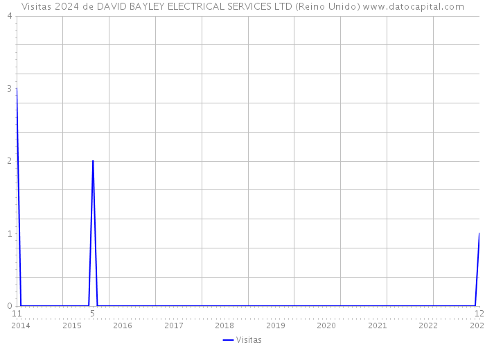 Visitas 2024 de DAVID BAYLEY ELECTRICAL SERVICES LTD (Reino Unido) 