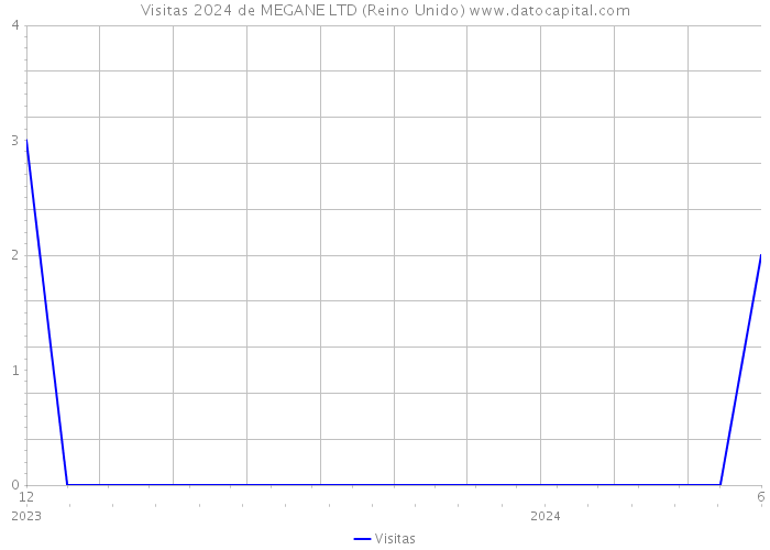 Visitas 2024 de MEGANE LTD (Reino Unido) 