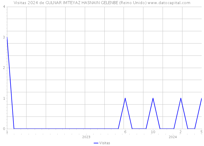 Visitas 2024 de GULNAR IMTEYAZ HASNAIN GELENBE (Reino Unido) 