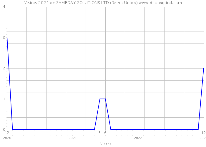 Visitas 2024 de SAMEDAY SOLUTIONS LTD (Reino Unido) 