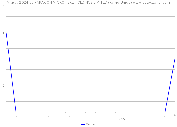 Visitas 2024 de PARAGON MICROFIBRE HOLDINGS LIMITED (Reino Unido) 