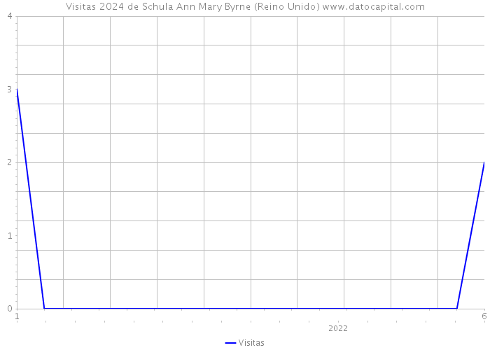 Visitas 2024 de Schula Ann Mary Byrne (Reino Unido) 