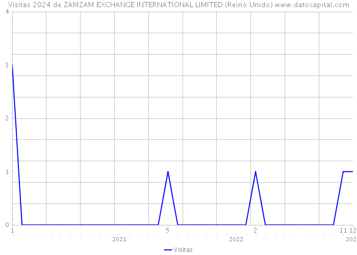 Visitas 2024 de ZAMZAM EXCHANGE INTERNATIONAL LIMITED (Reino Unido) 