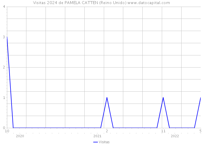 Visitas 2024 de PAMELA CATTEN (Reino Unido) 