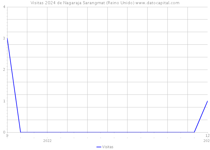 Visitas 2024 de Nagaraja Sarangmat (Reino Unido) 