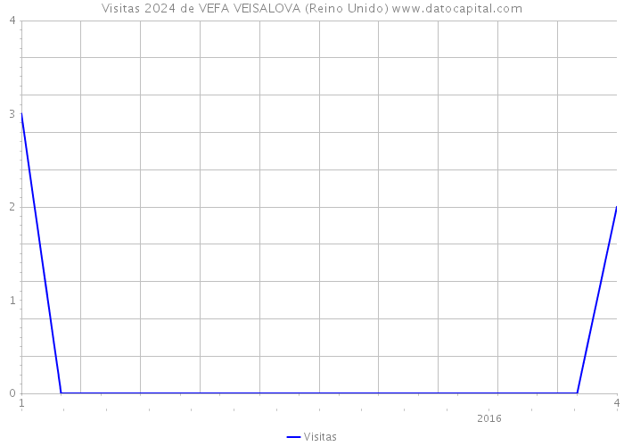 Visitas 2024 de VEFA VEISALOVA (Reino Unido) 