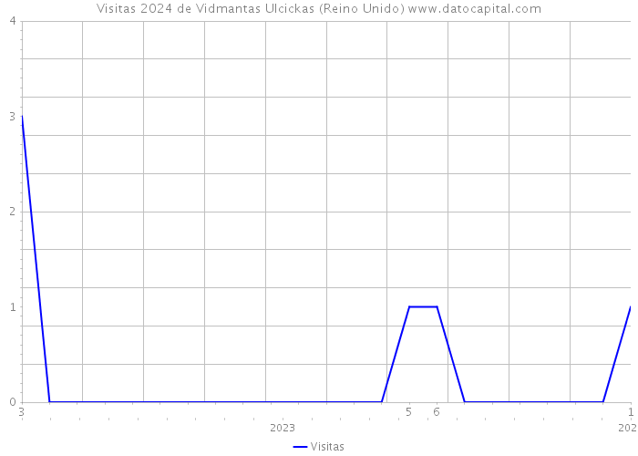 Visitas 2024 de Vidmantas Ulcickas (Reino Unido) 