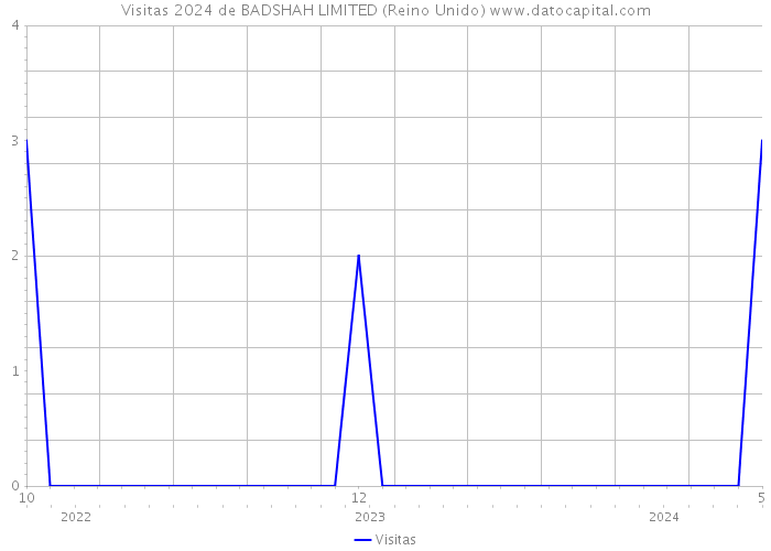 Visitas 2024 de BADSHAH LIMITED (Reino Unido) 