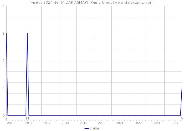 Visitas 2024 de HAIDAR ASMARI (Reino Unido) 