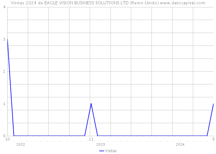 Visitas 2024 de EAGLE VISION BUSINESS SOLUTIONS LTD (Reino Unido) 