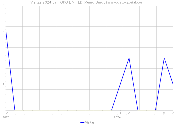 Visitas 2024 de HOKO LIMITED (Reino Unido) 