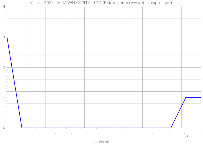 Visitas 2024 de RAVEN CAPITAL LTD (Reino Unido) 