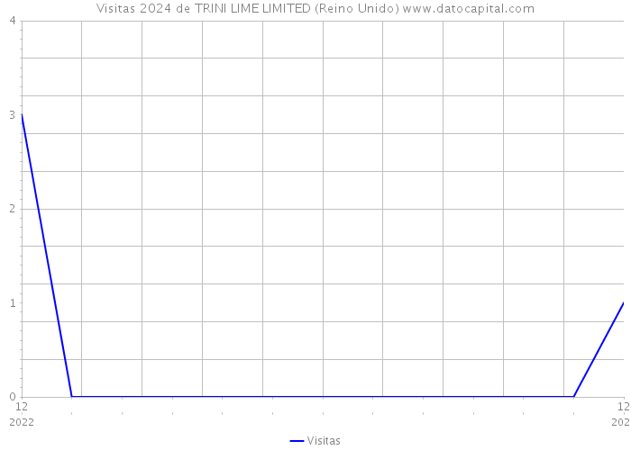 Visitas 2024 de TRINI LIME LIMITED (Reino Unido) 