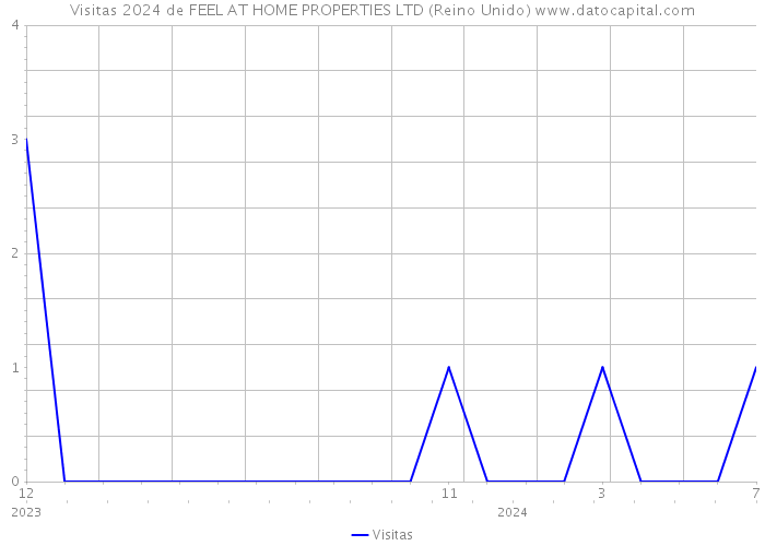 Visitas 2024 de FEEL AT HOME PROPERTIES LTD (Reino Unido) 