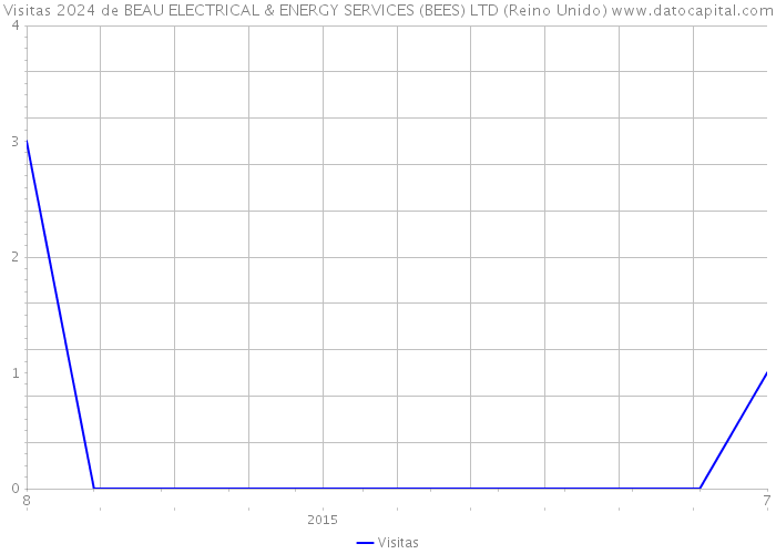 Visitas 2024 de BEAU ELECTRICAL & ENERGY SERVICES (BEES) LTD (Reino Unido) 