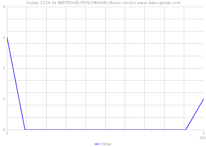 Visitas 2024 de BERTRAND FRISCHMANN (Reino Unido) 