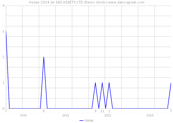 Visitas 2024 de S&S ASSETS LTD (Reino Unido) 