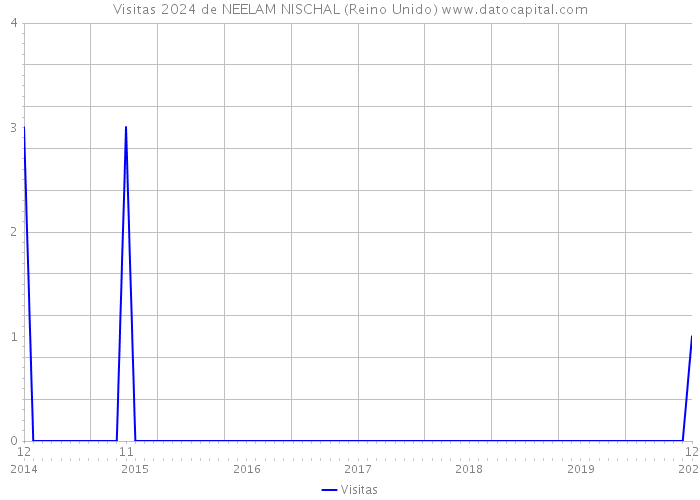 Visitas 2024 de NEELAM NISCHAL (Reino Unido) 