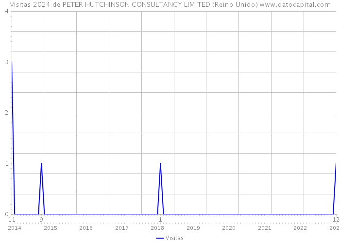 Visitas 2024 de PETER HUTCHINSON CONSULTANCY LIMITED (Reino Unido) 