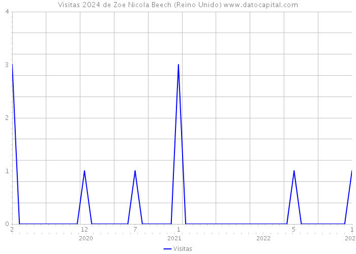 Visitas 2024 de Zoe Nicola Beech (Reino Unido) 