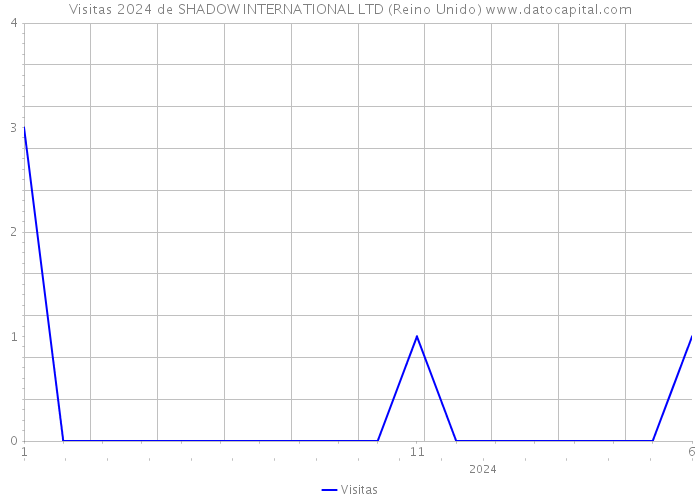 Visitas 2024 de SHADOW INTERNATIONAL LTD (Reino Unido) 