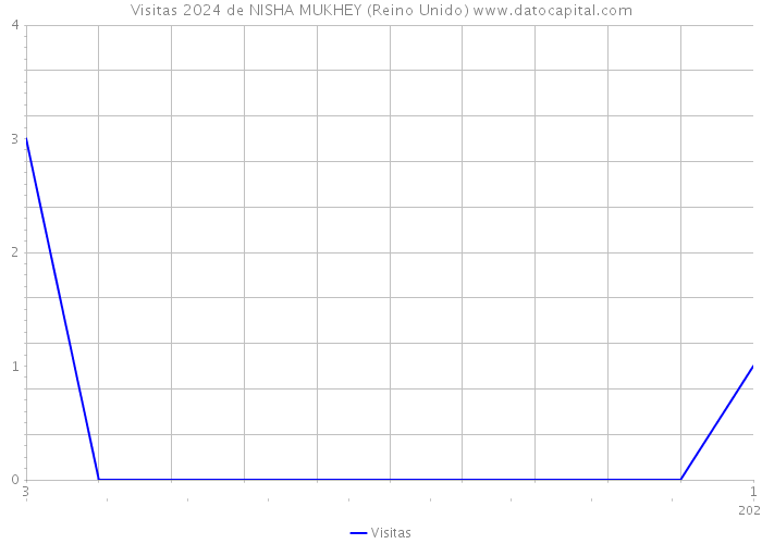 Visitas 2024 de NISHA MUKHEY (Reino Unido) 