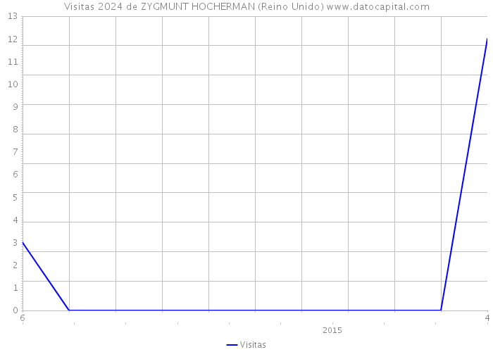 Visitas 2024 de ZYGMUNT HOCHERMAN (Reino Unido) 