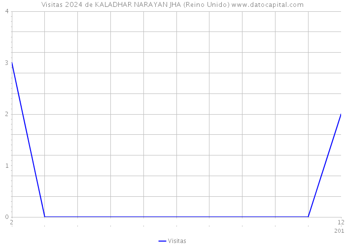 Visitas 2024 de KALADHAR NARAYAN JHA (Reino Unido) 