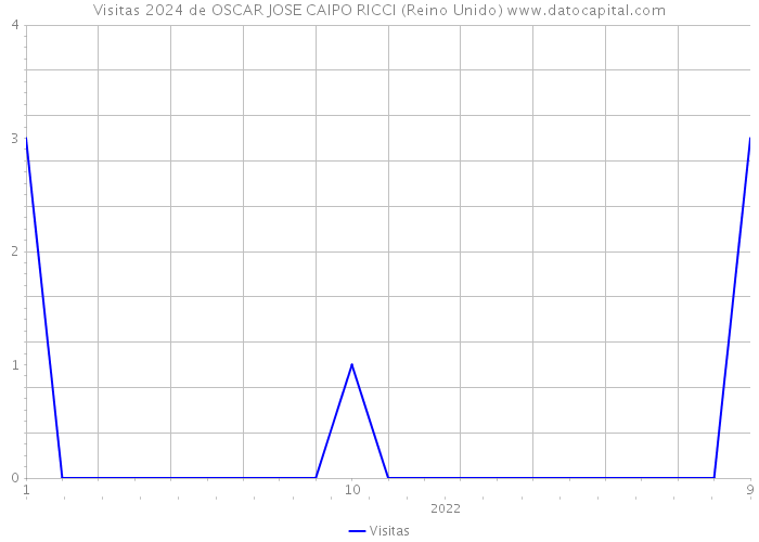 Visitas 2024 de OSCAR JOSE CAIPO RICCI (Reino Unido) 