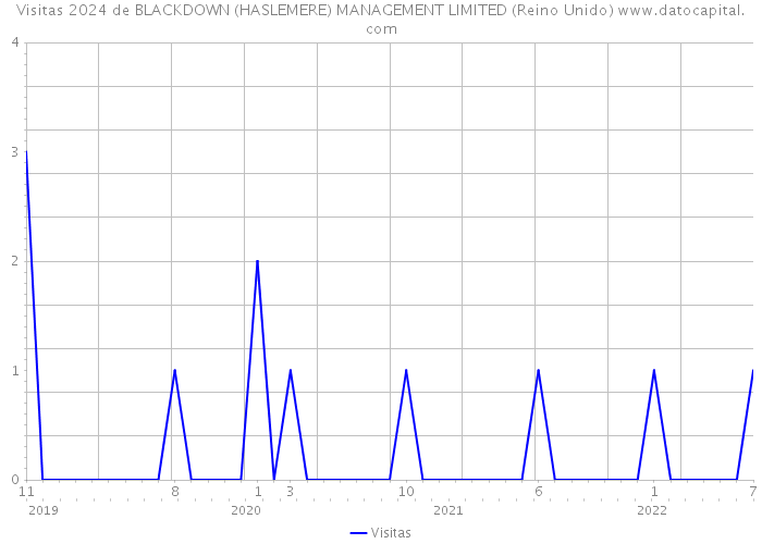 Visitas 2024 de BLACKDOWN (HASLEMERE) MANAGEMENT LIMITED (Reino Unido) 