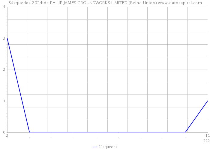 Búsquedas 2024 de PHILIP JAMES GROUNDWORKS LIMITED (Reino Unido) 
