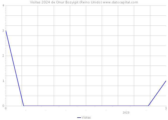 Visitas 2024 de Onur Bozyigit (Reino Unido) 