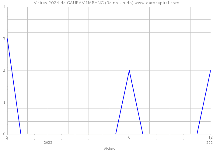 Visitas 2024 de GAURAV NARANG (Reino Unido) 