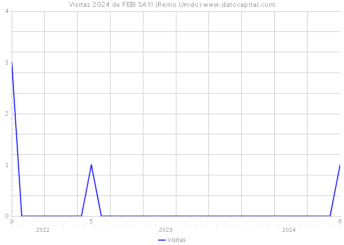 Visitas 2024 de FEBI SAYI (Reino Unido) 