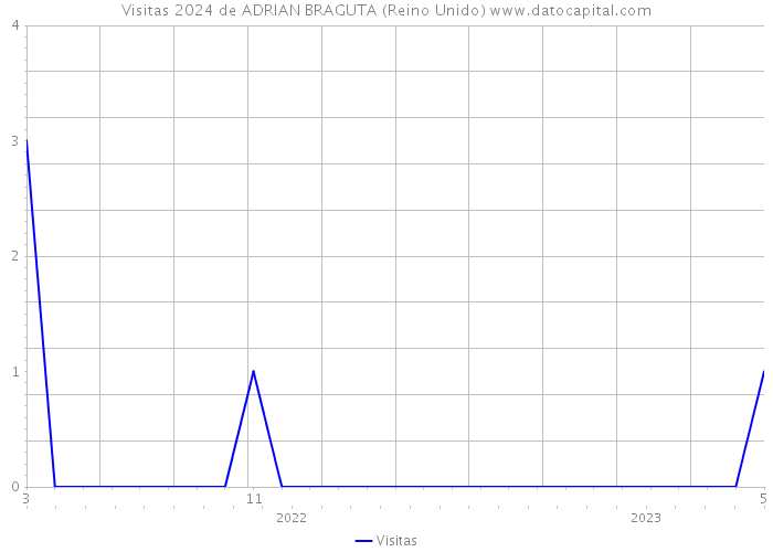 Visitas 2024 de ADRIAN BRAGUTA (Reino Unido) 