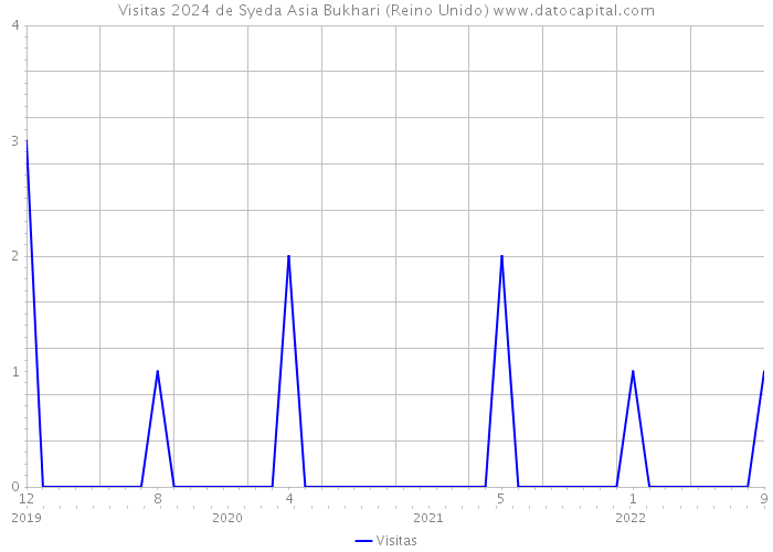 Visitas 2024 de Syeda Asia Bukhari (Reino Unido) 