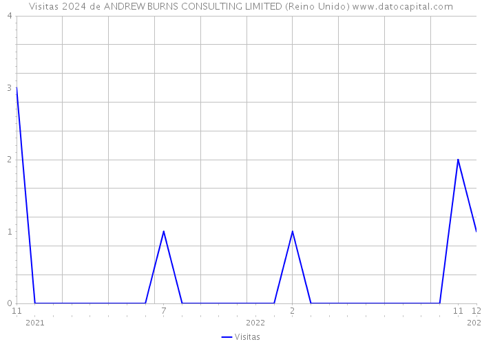 Visitas 2024 de ANDREW BURNS CONSULTING LIMITED (Reino Unido) 