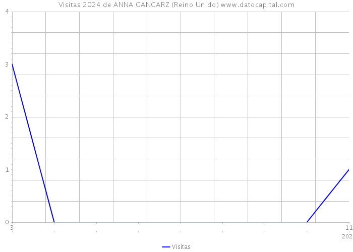 Visitas 2024 de ANNA GANCARZ (Reino Unido) 